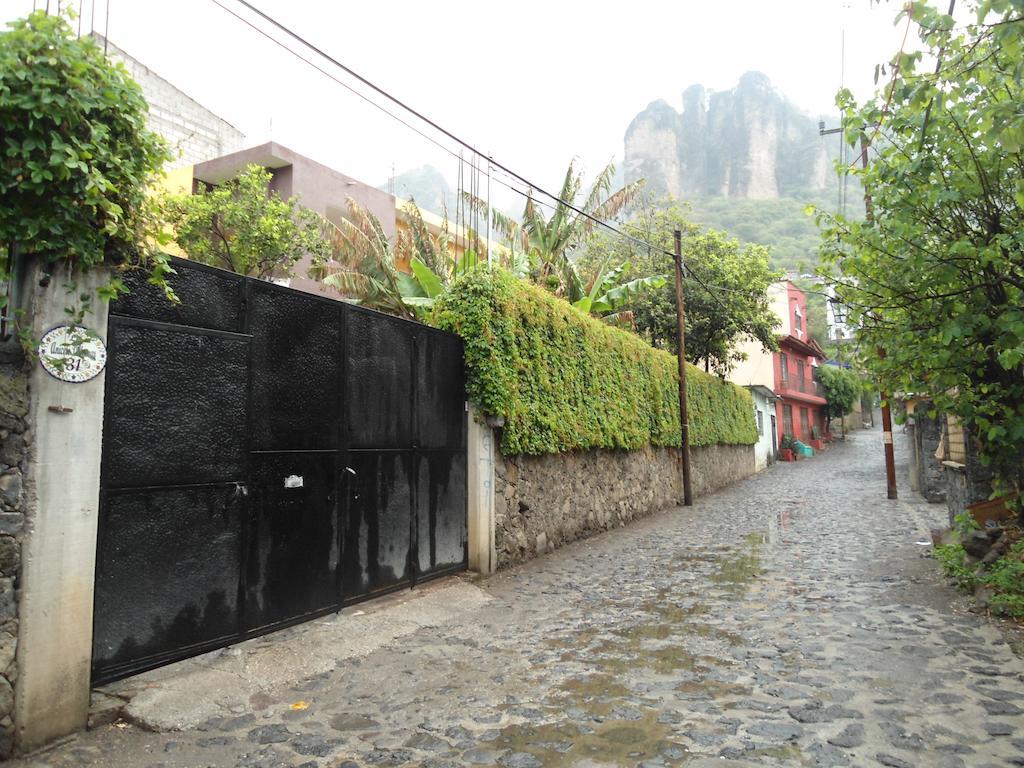 Posada Los Robles Tepoztlán Exteriör bild