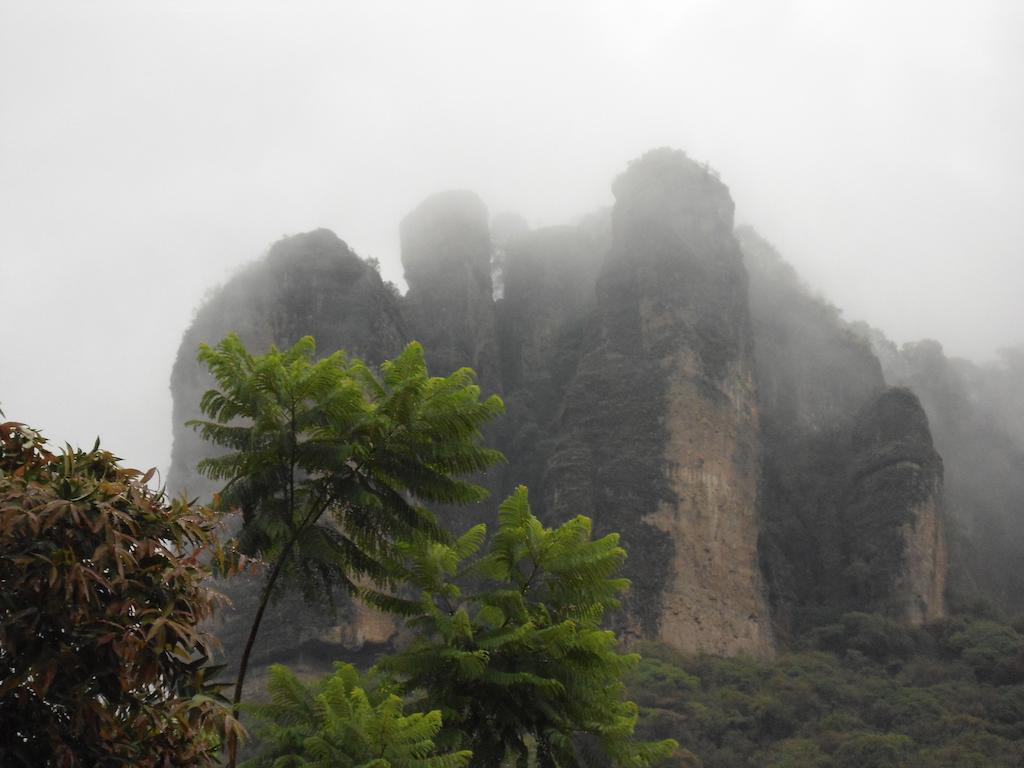 Posada Los Robles Tepoztlán Exteriör bild